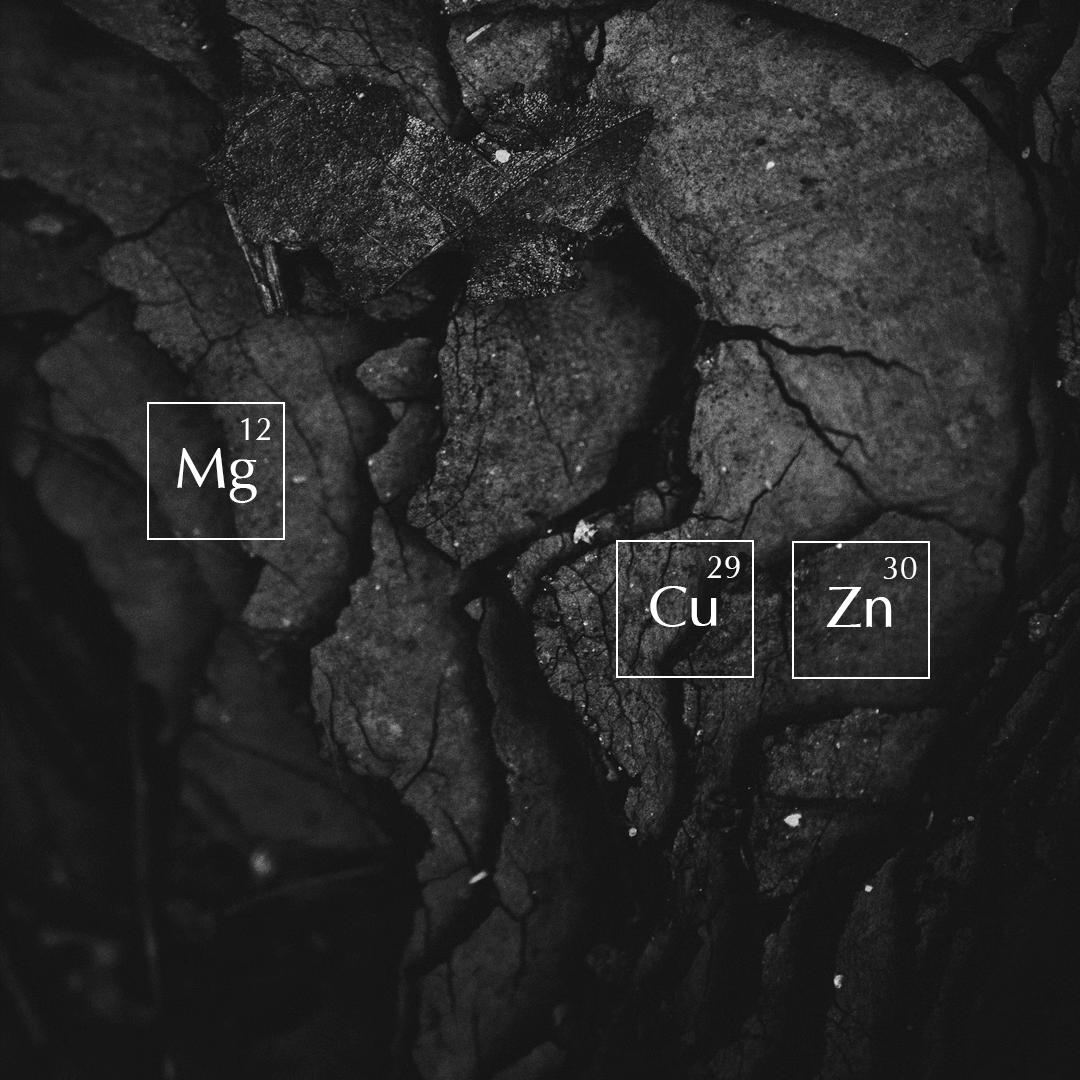 Complexe_Chrono-Energisant-Multi-Mineral