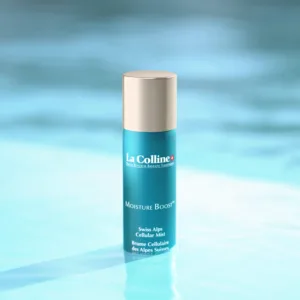 Brume Cellulaire des Alpes Suisses – Image 4